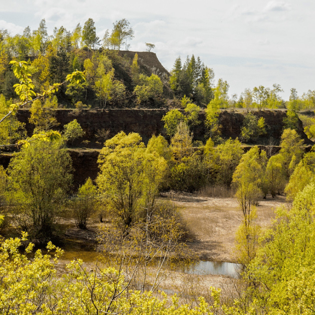 « SCHLAMMENFELD » – UNE MINE À CIEL OUVERT RECONVERTIE EN RÉSERVE NATURELLE, PARTIE 2